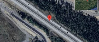 Viltolycka på E20