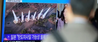 Nordkorea avfyrade flera robotar