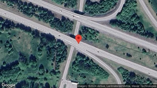 Hjort på fel sida av viltstängslet på E18