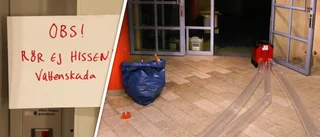 Bakterier i golv och väggar: ”En omfattande sanering krävs”