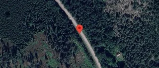 Nedfallna träd påverkar trafiken på väg 23