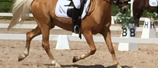 Lisa Ivarsson klar för A-final i dressyr-SM