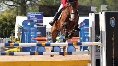 Efter en toppensäsong tävlar snart Evelina Siverholm i Falsterbo Horse Show. Foto: Malin Siverholm