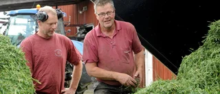 Så slår torkan till mot skördarna