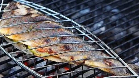 Lägg fisken i dubbelhalster och du slipper problem med fisk som bränner fast på grillgallret.