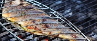 Heta fiskar från grillen