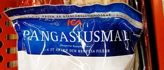 Vanligt med hajmal i Uppsala