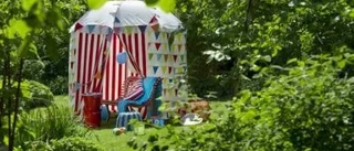 Cirkus till midsommar