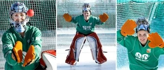 Bandyfinal för nybörjare