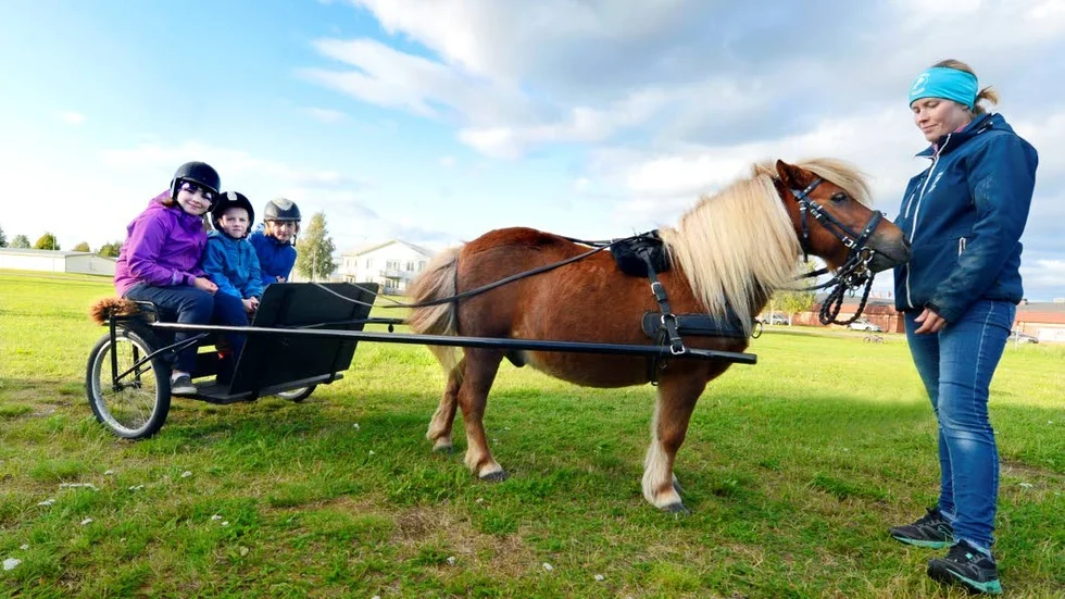 En hel del fotarbete blev det för Emilia Brännström som hade hedersuppdraget att leda runt hästen Lucky Luke och alla hästentusiaster. I vagnen den här gången satt Greta Cedering, 10 år, Midas Grein, 5 år och Elvia Grein, 9 år.