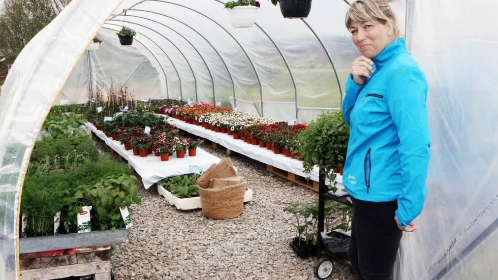 Marita Öhlund har fyra växthus i sin trädgård i Hortlax.