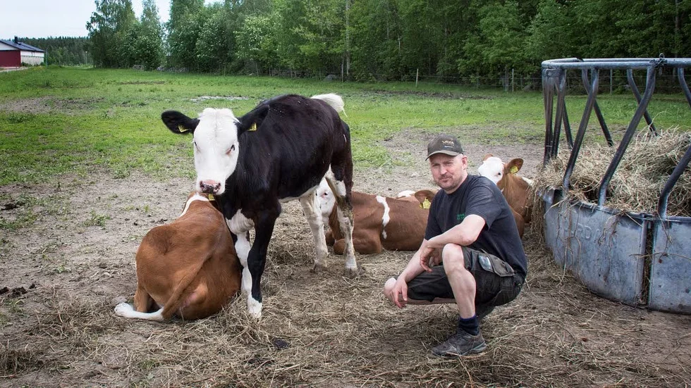 Per-Olof Rehnman har 130 djur på mjölkgården.