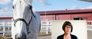Ridklubbens framtid hotad - saknar hyresavtal