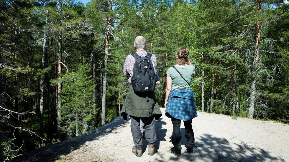 Sanddynerna kan vara över tio meter höga. På toppen står besökare nästan i höjd med trädkronorna.