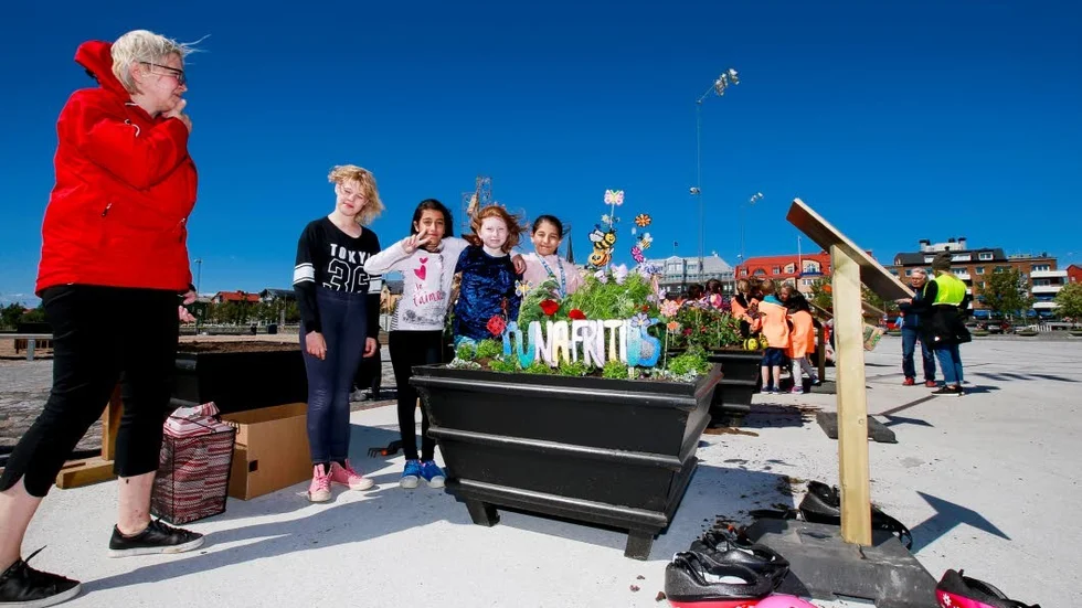 Om du tycker om blomsterprakten i Luleå södra hamn kan du tacka Nadja Osbäck, Iman Khaled, Ida-Elian Thür och Elmira Amiraslanova från Tunaskolans fritids. "Det blev jättefint med fina färger som jag hoppas ska locka till sig bina", förklarar Elmira.