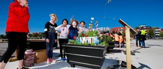 Barnen får södra hamn att blomma