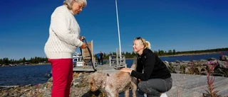 Med Labyrint bland öarna – sannerligen inget sopigt jobb