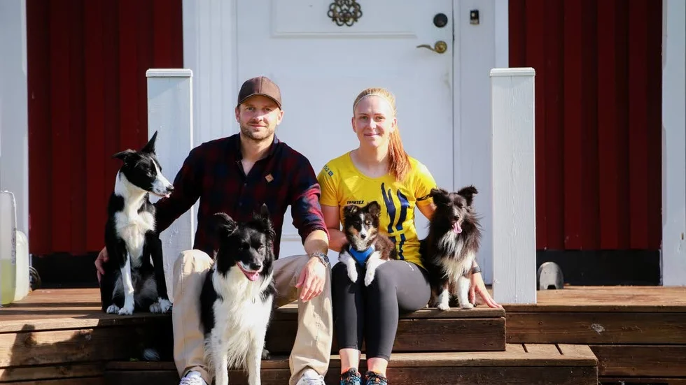 I Altersund är de hemma. Markus Lindgren och Enya Habel har inte bara hundar hemma i Altersund. Här finns också får.