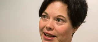 Oro för nazister i Almedalen