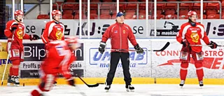 SHL-tränaren öppnar för AIS
