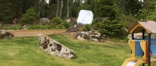 Hårda vindar i Uppsala