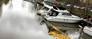 Våryran i Örsundsbro lockade ut folket
