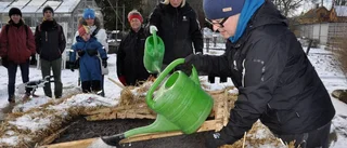 Här kissar de in våren i Botaniska