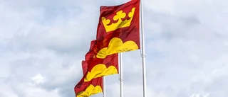 Här är vi mest företagsamma