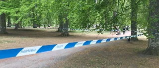 Man anhållen för mordförsök i Engelska parken