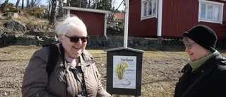 Vårkonstens ”hovfotograf”