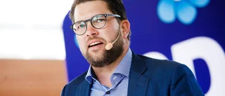 Jimmie Åkesson om Luleåprotesterna: "Sjöstedt har ett oerhört ansvar"