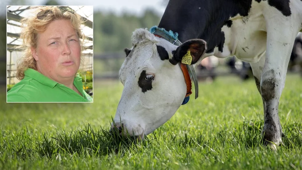 Torkan och foderbristen drabbar även länets köttbönder. "Det har inte skett någon nödslakt i Norrbotten ännu, men inget går att utesluta", säger Jenny Karlsson, LRF-ordförande.