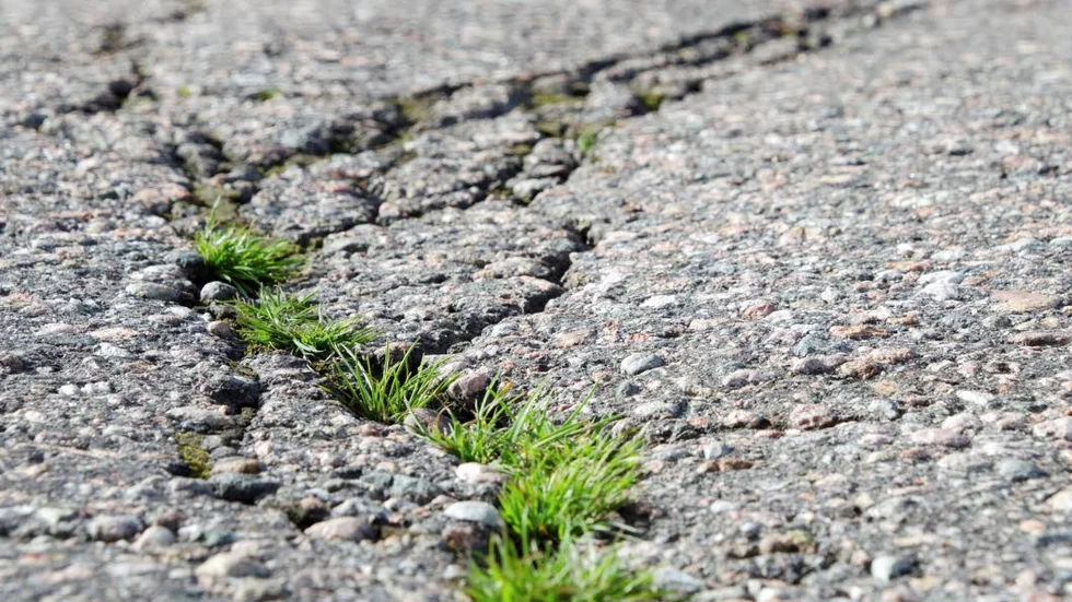 Bedömningen av skadorna är att dem inte är akuta enligt kommunen.