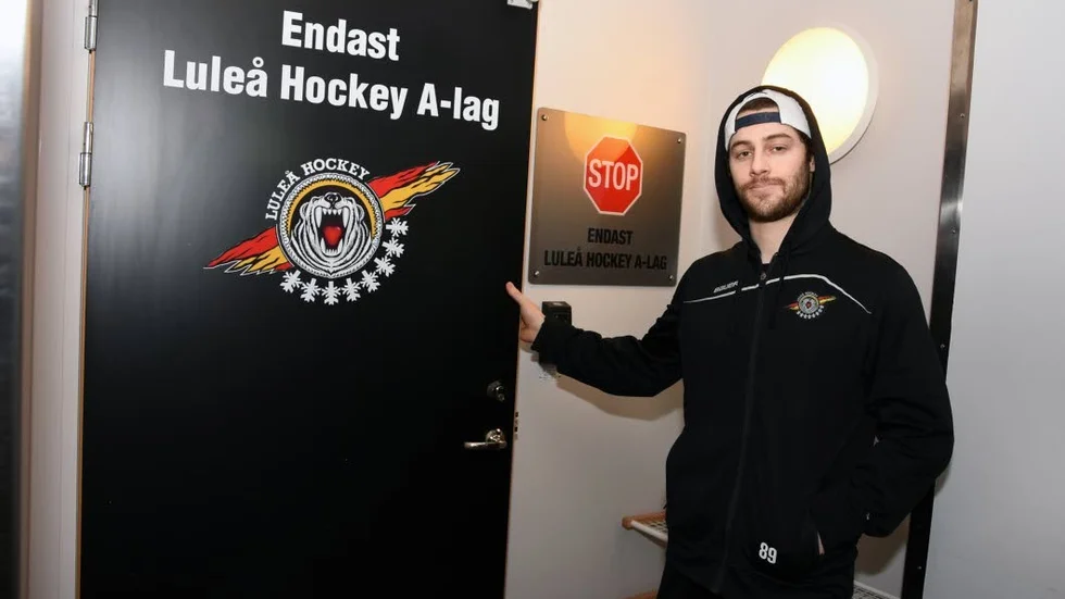 Ryan Johnston, Luleå Hockey