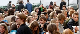 Den svenska björnstammen på scen