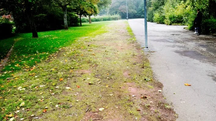 Ser du löparbanan? Nu har mossan tagit över.