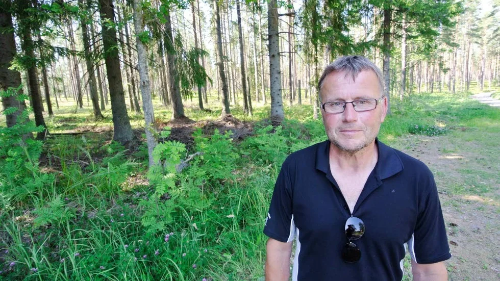 Som i fjol. Bärplockningen måste styras upp från butik, tillverkning, grossister och nedåt, anser Sven Engberg i Mehedeby, men han tror att det blir som tidigare år i skogen.