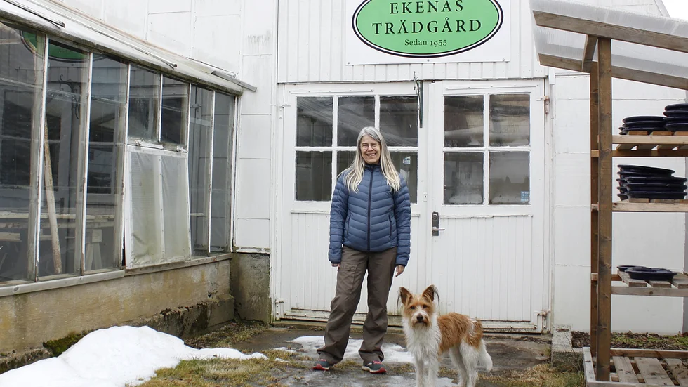 Anna Ekengren och hunden Ture på Ekenäs trädgård laddar upp för årets säsongsöppning.