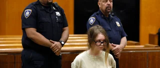 "Anna Sorokins" fasad faller – och vilka bilder från Ukraina är egentligen sanna? 