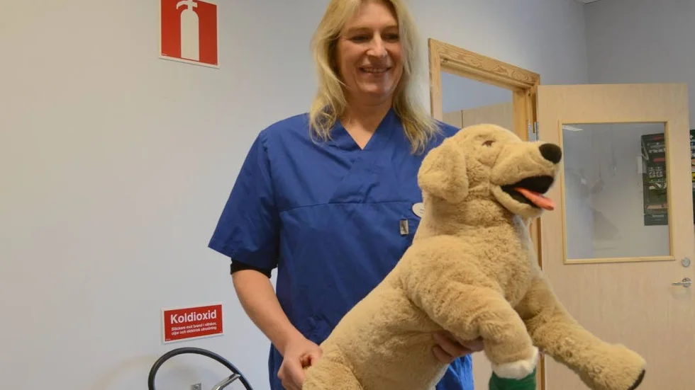 Gamla hunden. Lena Johansson med elevernas gamla övningsobjekt.