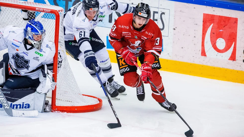 Fabian Ilestedt.