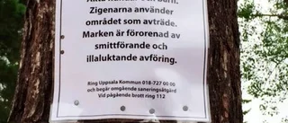 Rasistiska skyltar vid lekplats