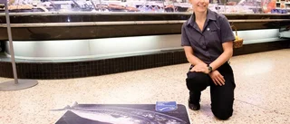 Kan bli Sveriges bästa ekobutik