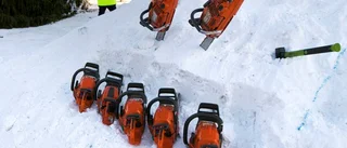 Plundring med skogsmaskin