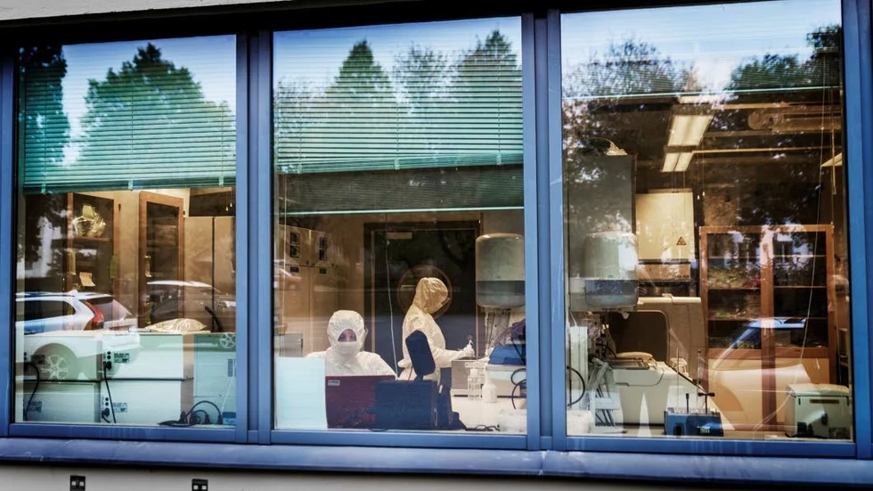 Säkerhetslaboratorium. Det är superrent i laboratoriet där proverna hanteras, näst intill lika försiktigt som vore de smittade av ebola. Men det är inte för att skydda sig själva som forskningsingenjören Hanna Edlund har skyddsklädsel, utan för att förhindra att hon smittar proverna med sitt eget dna. Och fotografen släpps givetvis inte in genom säkerhetsslussen utan får nöjda sig med att fotografera genom ett ytterfönster.