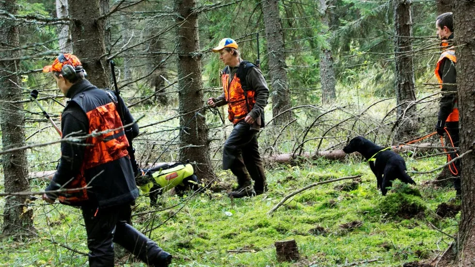 Eftersök. En skadeskjuten älg var uppgiften att hitta för Imunbo-Håkansbo jaktklubb.