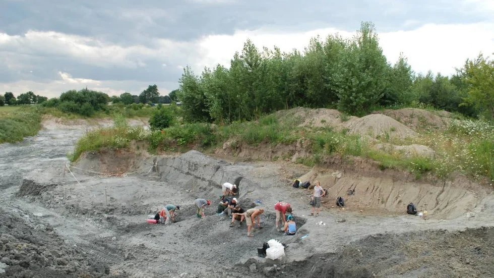 Studenter arbetar med att gräva fram drygt 200 miljoner år gamla fossil i den polska byn Lisowice.