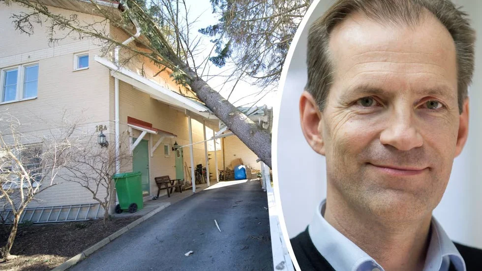 Bilden är ett montage. Peter Stark, jurist på Konsumenternas försäkringsbolag, berättar att en rad komplicerade försäkringsärenden kan uppstå vid storm.