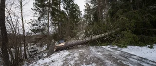 Landets kraftigaste vindar uppmätta i länet