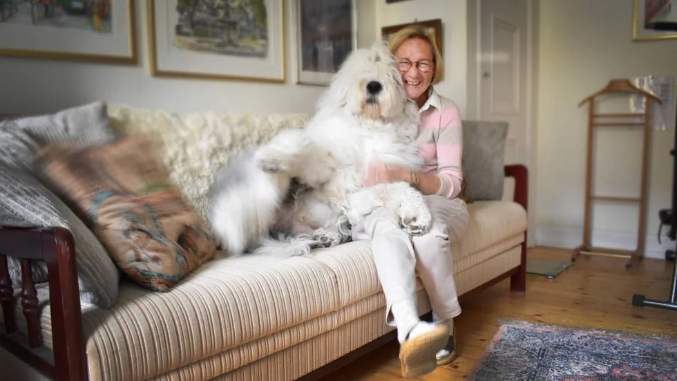 Melvin vill gärna busa med matte Nelly Fornemyr. Melvin är hennes fjärde hund av rasen old english sheepdog.